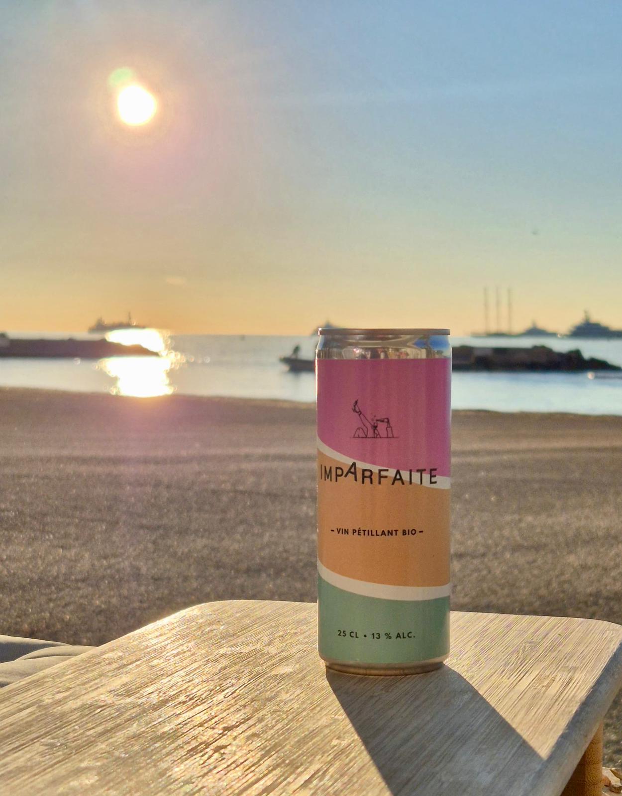 Canette Imparfaite face à la mer au coucher du soleil